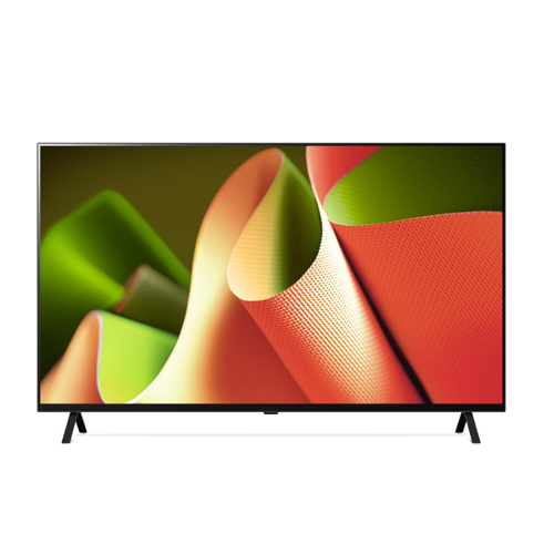 LG 올레드 55인치 TV (OLED55B4F)